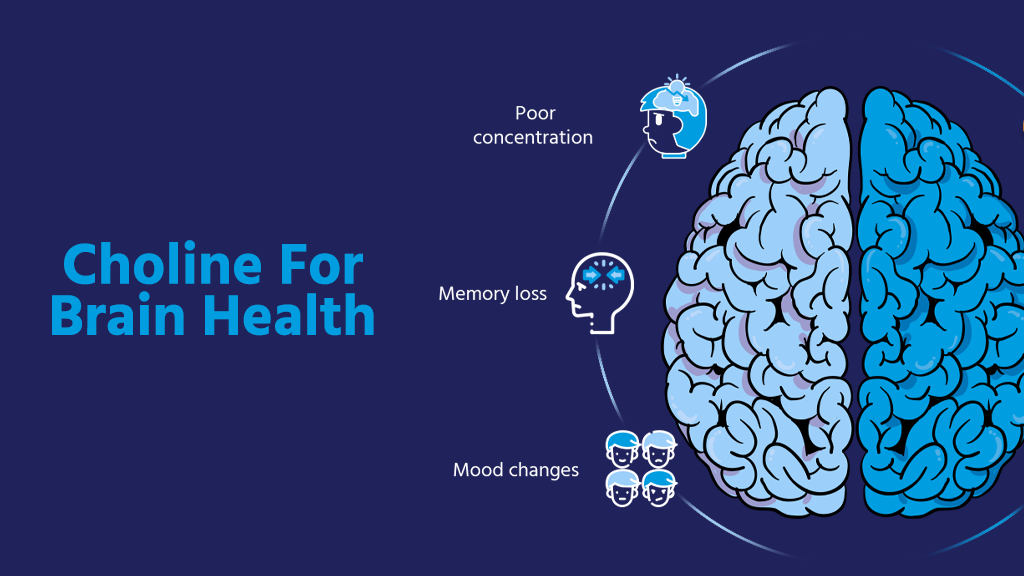 Choline for brain health