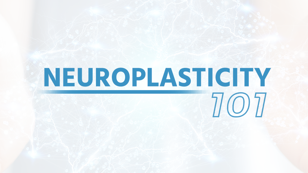 Neuroplasticity 101
